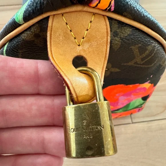 Louis Vuitton X Stephen Sprouse Roses Limited Edition Speedy 30 - Picture 15 of 16